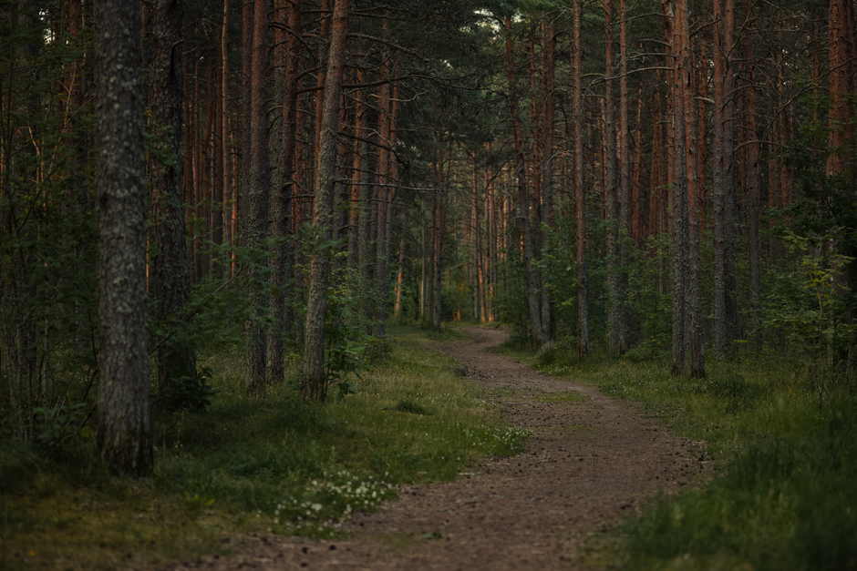 A Step-by-Step Look at A Balanced Approach To Wellness, One Step at a Time