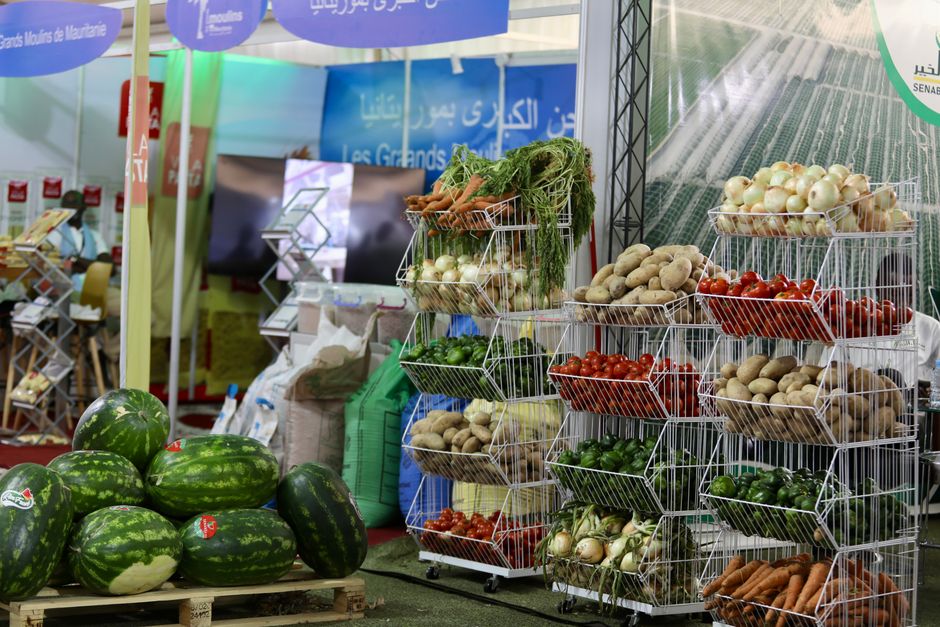 A Kinder Approach to Ultra-Processed Food, Without The Panic, Minus the Overwhelm