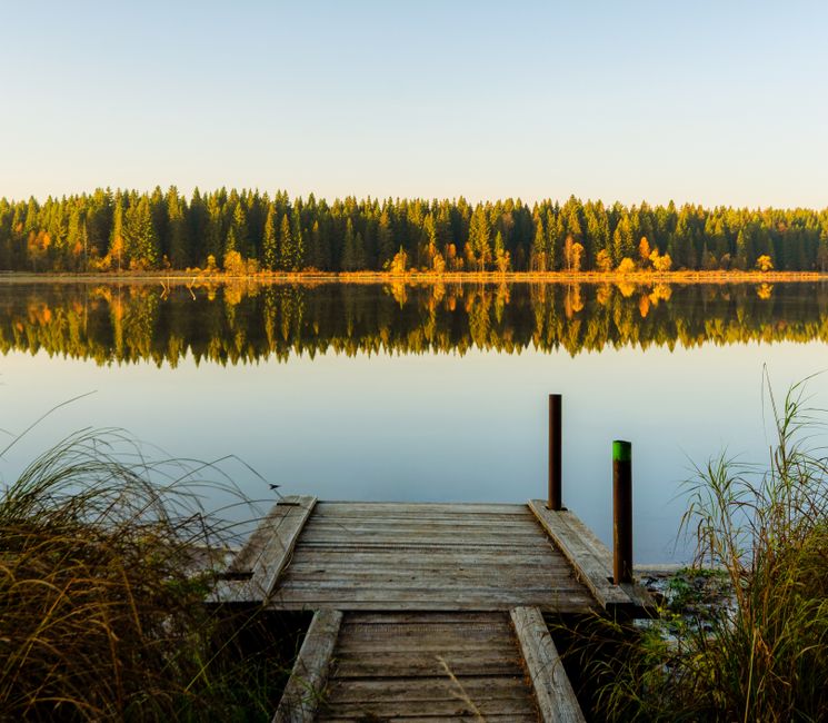 A Step-by-Step Look at Stress: Signal, Response And Recovery