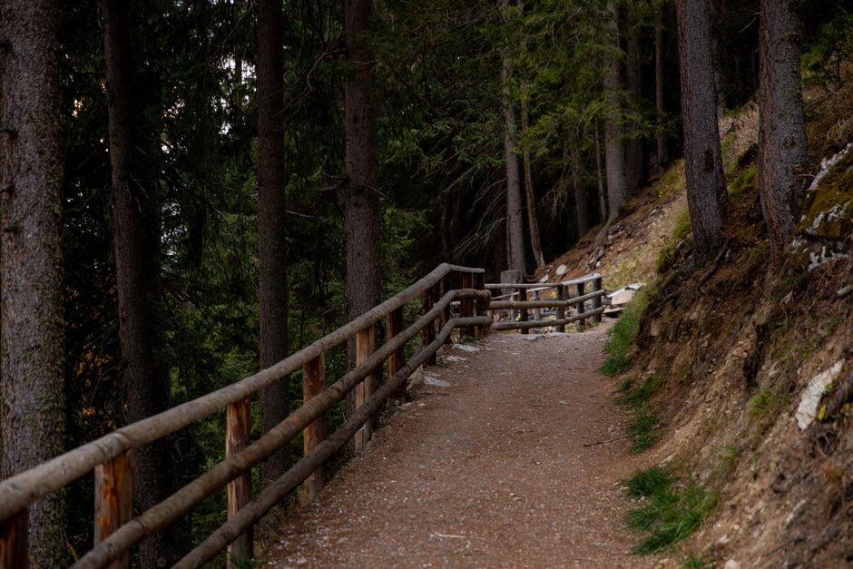 A Step-by-Step Look at The Ordinary Virtues Of Walking