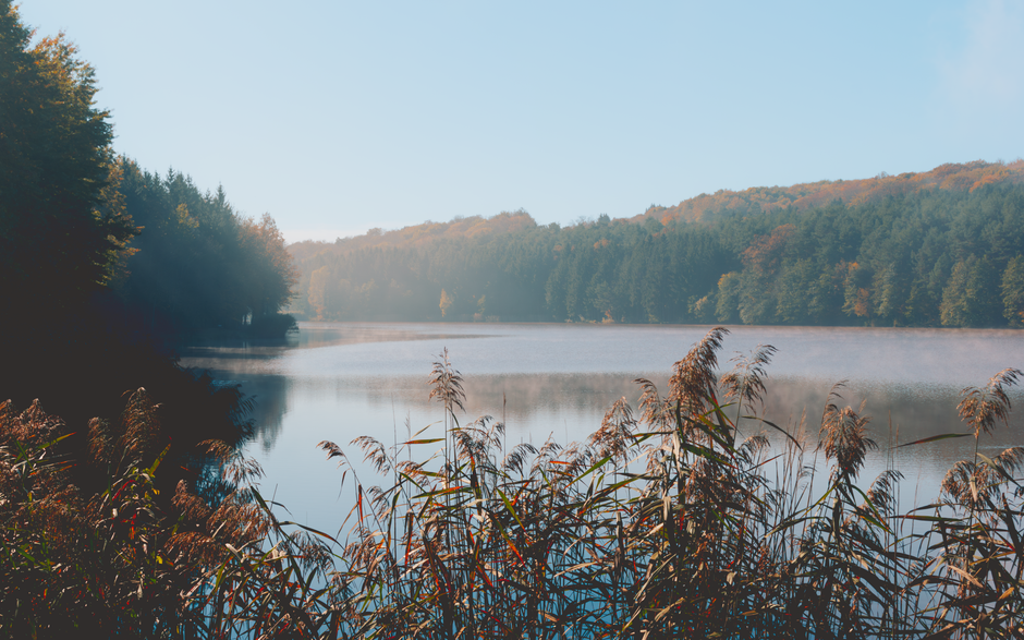 Building a Daily Routine Around Time, Attention And Health