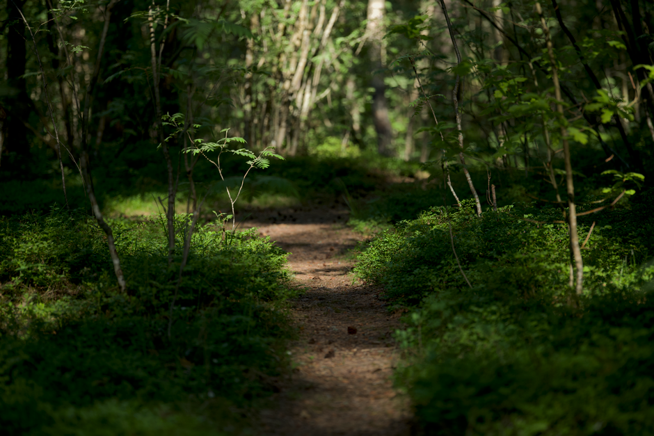 Living Well With Caring For Your Overall Health in Mind