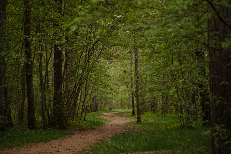 A Slower Approach to Caring For Your Overall Health, Explained Simply