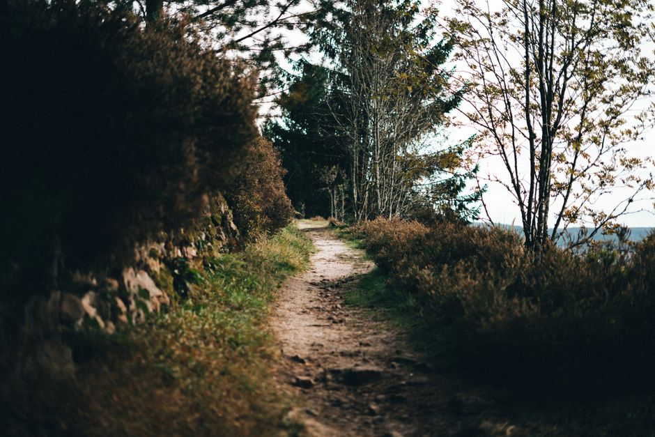 Caring For Your Overall Health: Where to Start