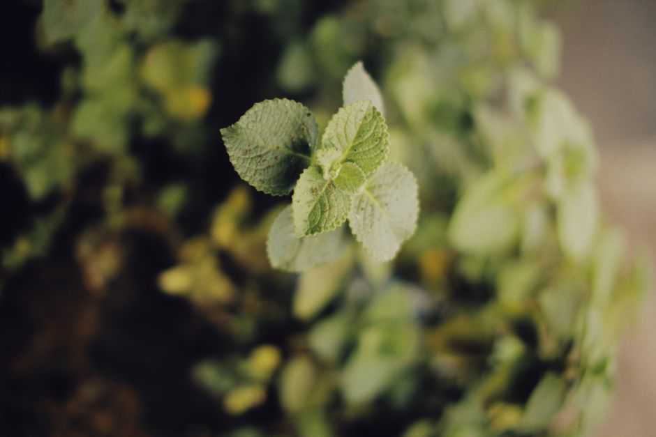 Everyday Habits Built Around Hydration Without The Myths, on a Normal Week