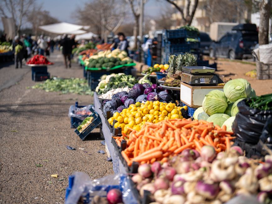 Getting Started With Food, Movement And Sleep As One System
