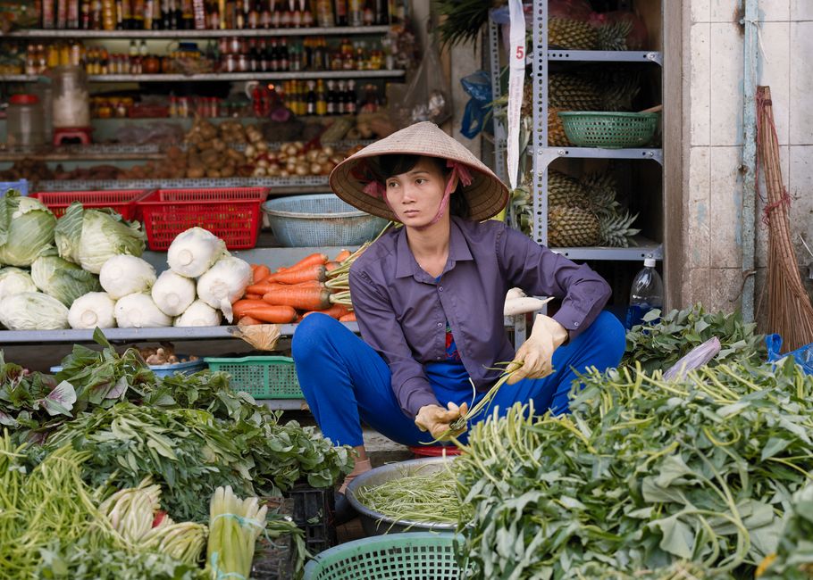 Health Literacy And The Flood Of Advice: Where to Start