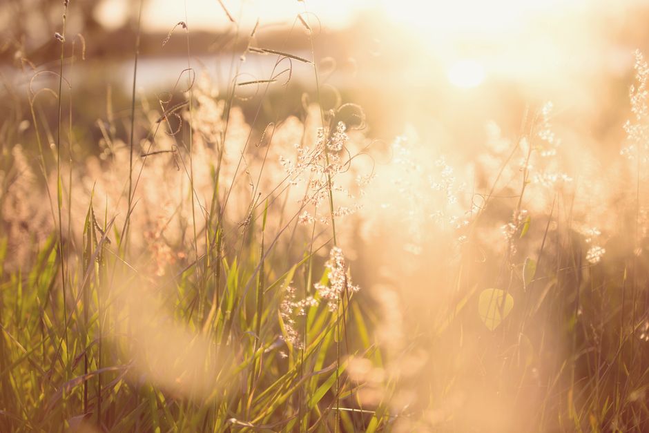 Living Well With Habits: How They Actually Form in Mind, Day by Day