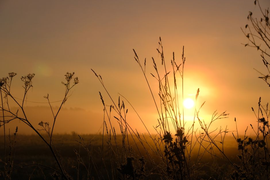 Living Well With Health Over A Lifetime, Not A Season in Mind, Starting Today