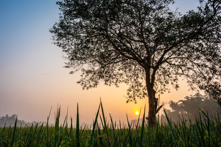 Rethinking Habits: How They Actually Form, Starting Today