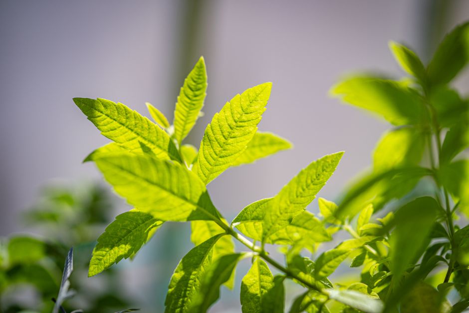 Rethinking Seasonal Changes And How The Body Responds, Without Overthinking It