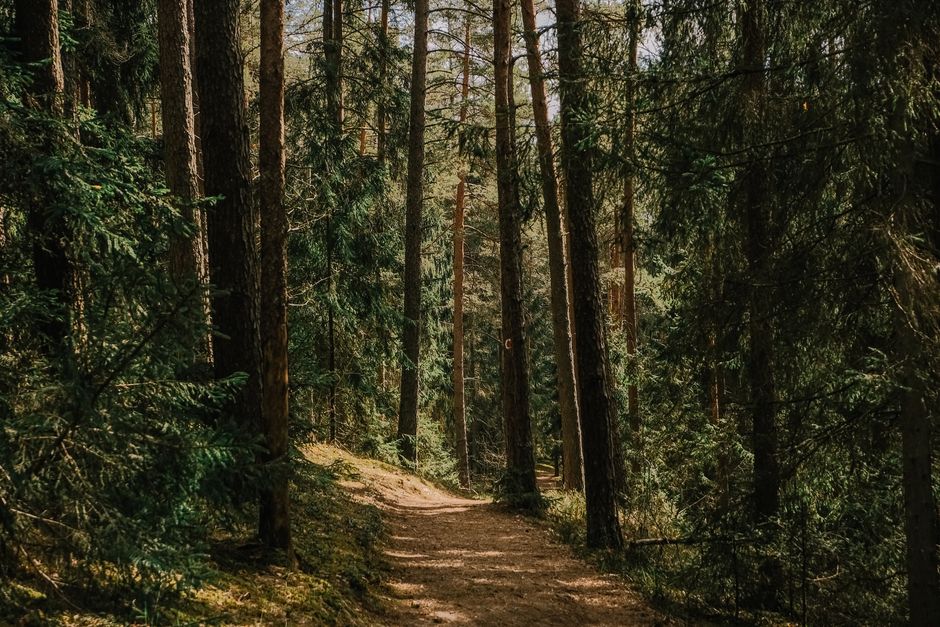 Rethinking Simplicity As A Health Strategy, the Honest Way