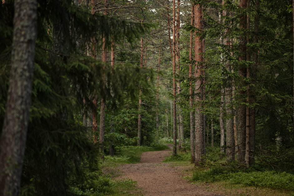 The Ordinary Virtues Of Walking: Common Mistakes to Avoid