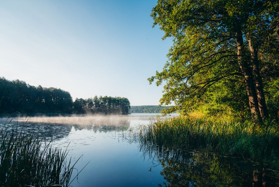 A Practical Take on Wellness Without Perfectionism, Made Simple