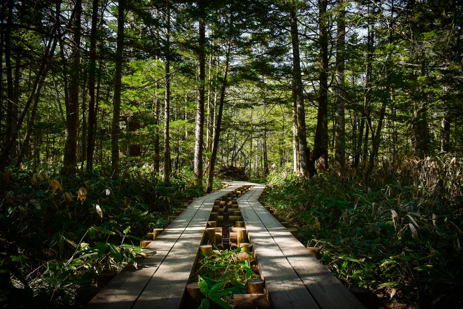 Wellness At Different Life Stages: What Changes With Age