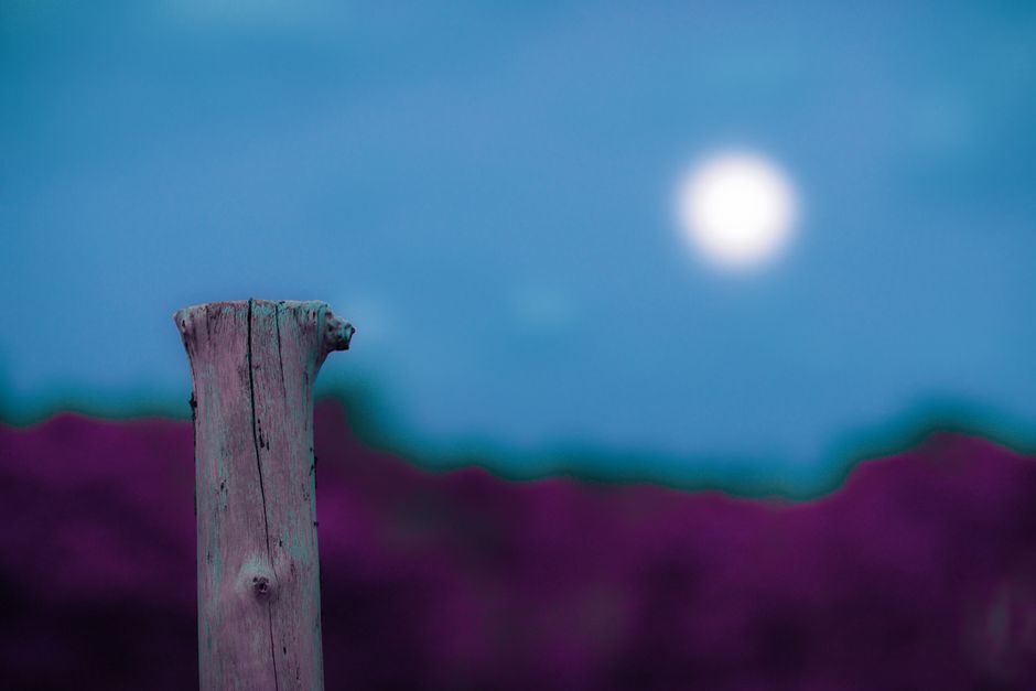 When Health Is Not A Choice: Making It Part of Your Day